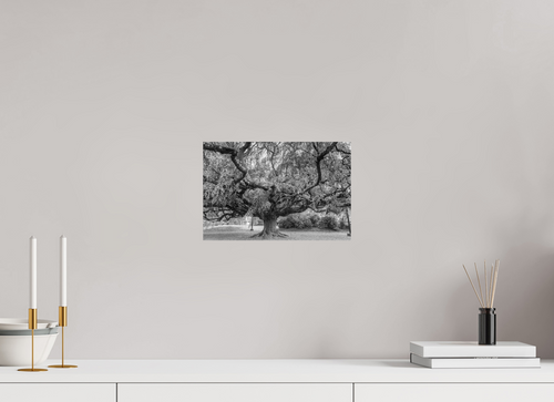 30 x 20 cm, Impression noir et blanc sur Alu Dibond 3 mn L’arbre de vie